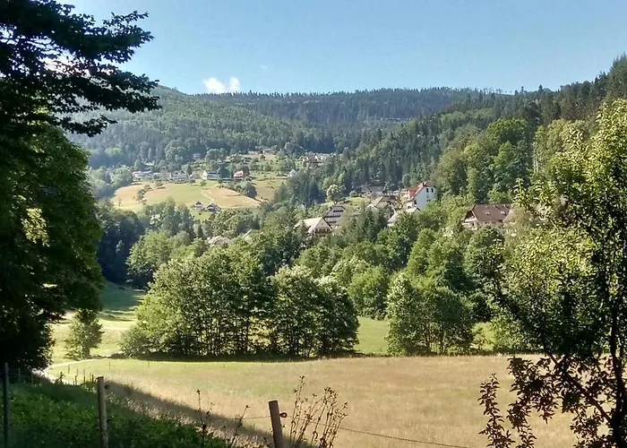 Lägenhet Alb-rosa Bad Herrenalb